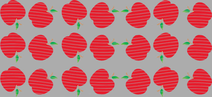 16oz delicacy-DE-377